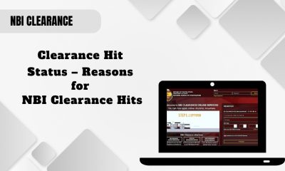 Clearance Hit Status - Reasons for NBI Clearance Hits